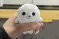 「まるで満員電車のよう」クリアポーチに収まる2体のぬいぐるみ　必死の「体勢」に笑ってしまう