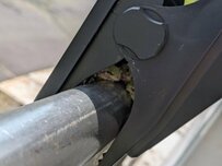 夏の厳しい暑さから避難した「3匹のカエル」　 顔を寄せ合う姿に「かわいい」「うちにも来て」