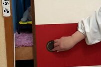 押し入れに設置した「猫が快適に過ごせる部屋」に目を疑う！「もはやセレブルーム」