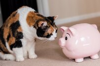 「国民年金の受給額」上乗せ術3選。今から私たちができることとは