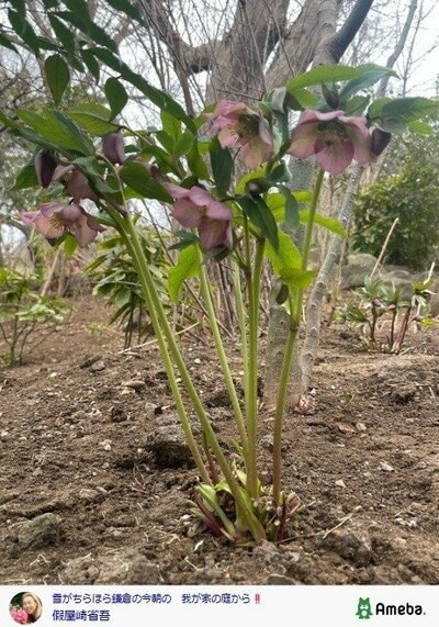 假屋崎省吾の公式ブログ投稿