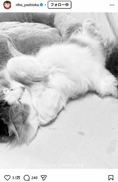 吉岡里帆のInstagram投稿