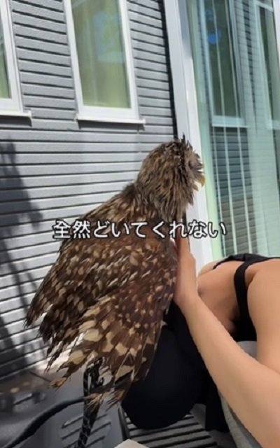 投稿動画のワンシーン