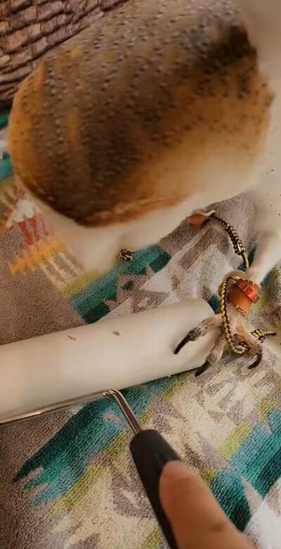 投稿動画のワンシーン