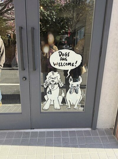 柏木由紀子の公式ブログ投稿