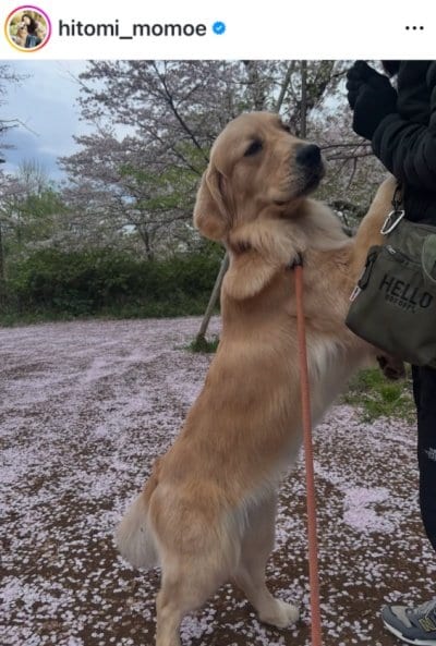 高橋ひとみのInstagram投稿