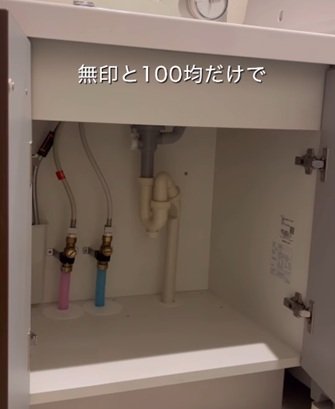 【簡単収納】ごちゃごちゃになりがちな〈洗面台下〉→無印と100均だけで〈スッキリ空間〉に大変身！思わず真似したくなる収納テクニック