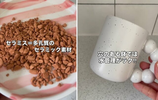 「清潔＆かわいい」建売住宅〈キッチン〉→マグカップ鉢とセラミスで〈緑あふれるカフェ空間〉に大変身！反響続々