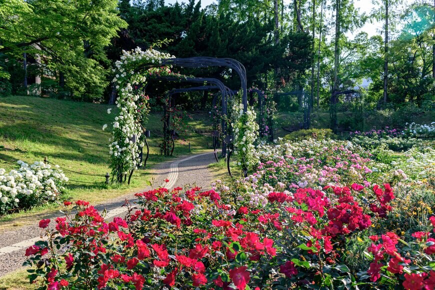 takasefuhito/shutterstock.com