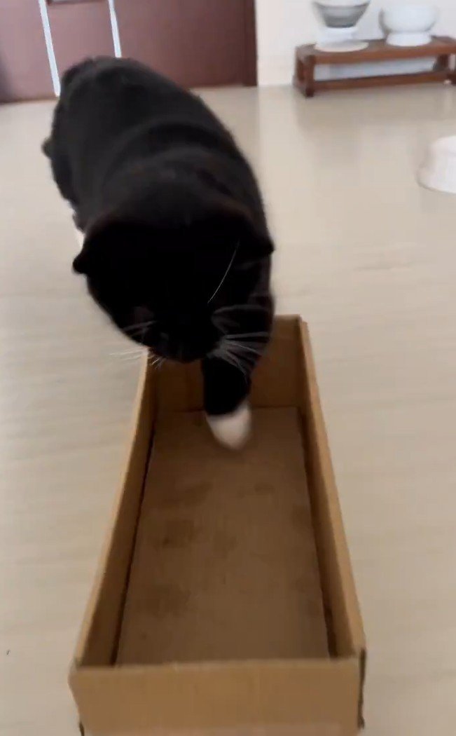 出所:@unicouniuni3