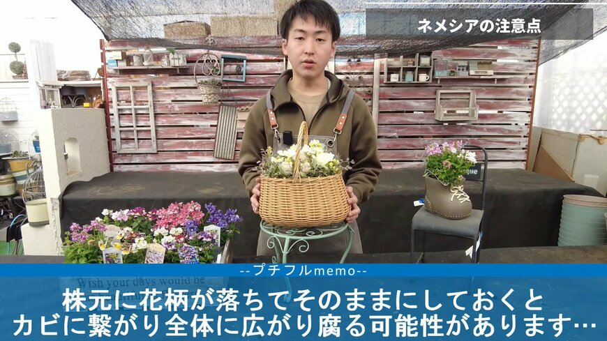 出所：@petit_fleur