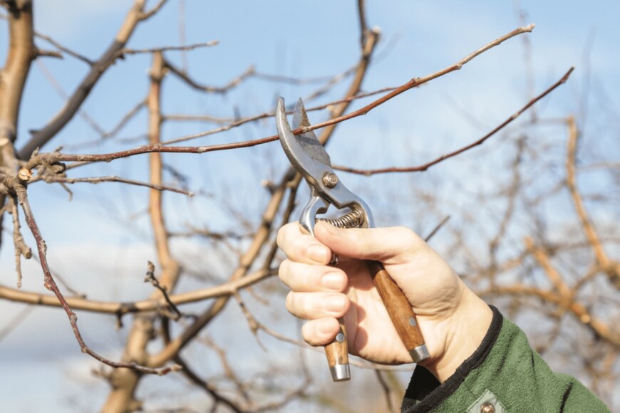 triocean/istockphoto.com