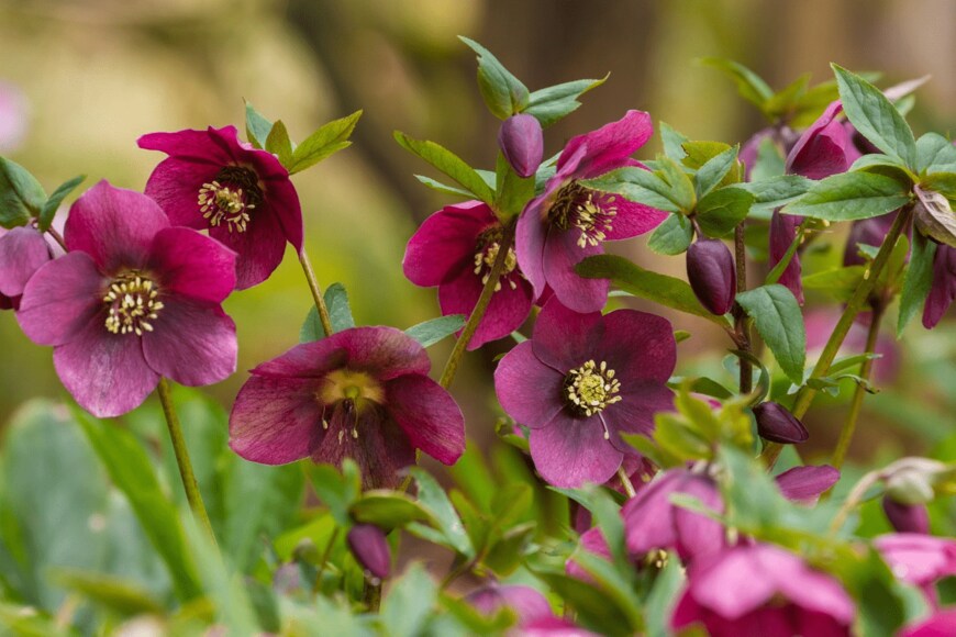 Claudia Cooper/istockphoto.com