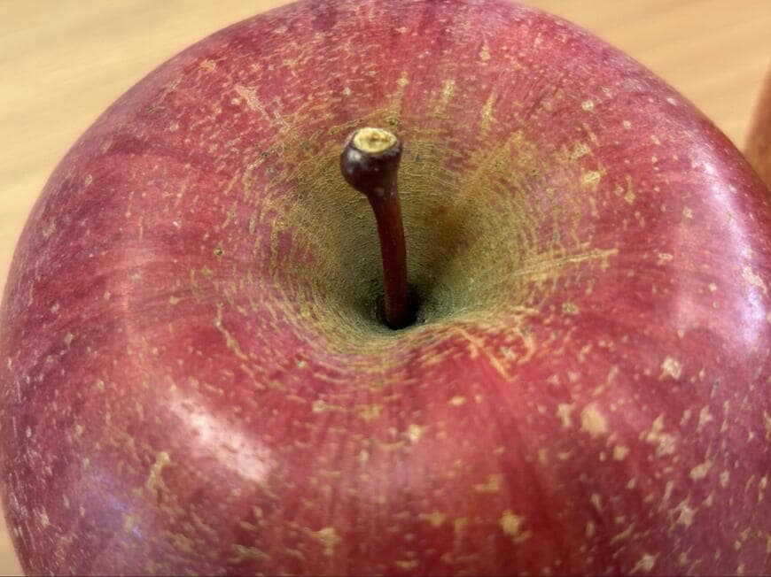 プロ農家の「訳ありりんごの見抜き方」が15万表示　X民「絶対わからない…」と反響