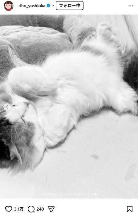 出所：吉岡里帆のInstagram（＠riho_yoshioka）　参照日：2026年2月24日