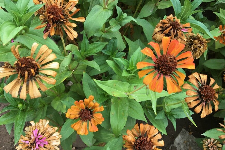 earth312/shutterstock.com