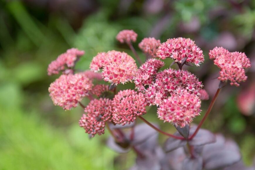 Peter Turner Photography/shutterstock.com