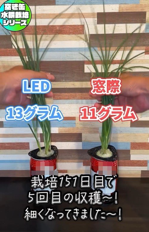 出所：mikanbo_ya19_87