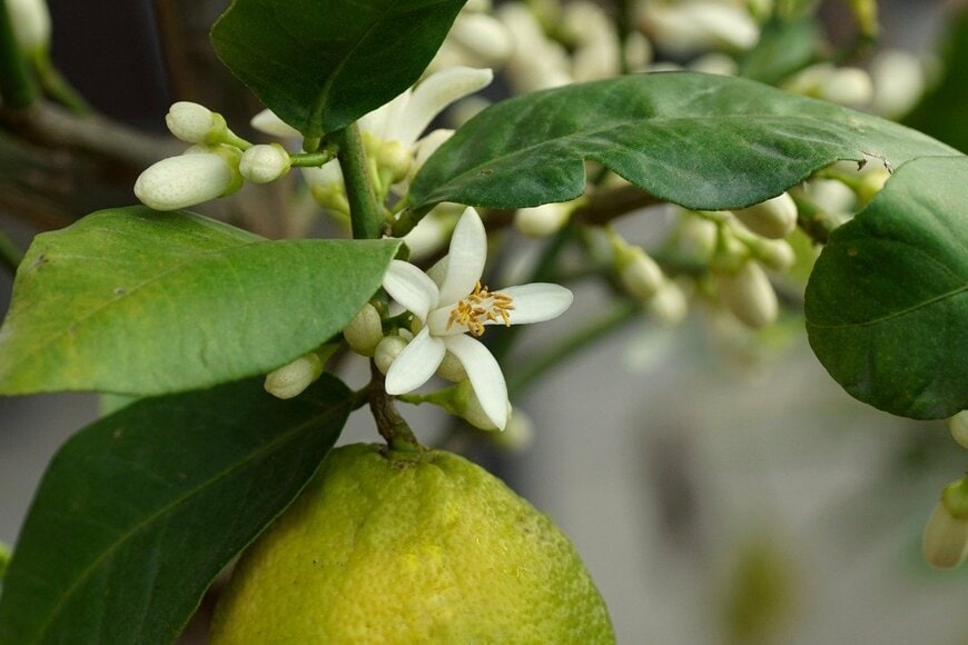 TG23/istockphoto.com