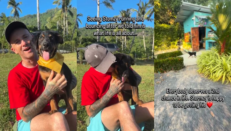 出所：@niall.harbison