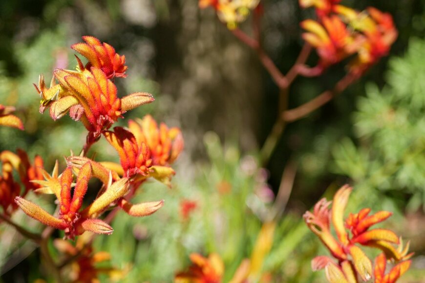 Dogora Sun/Shutterstock.com