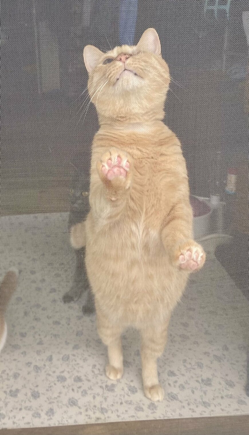 出所：@luna7taka9