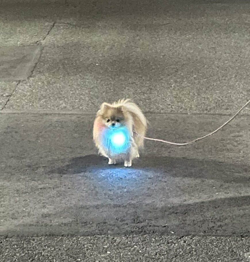 出所：@nagomi_kedama