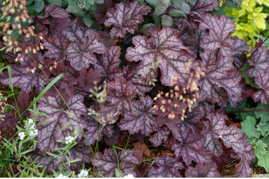 Maksims Grigorjevs/istockphoto.com