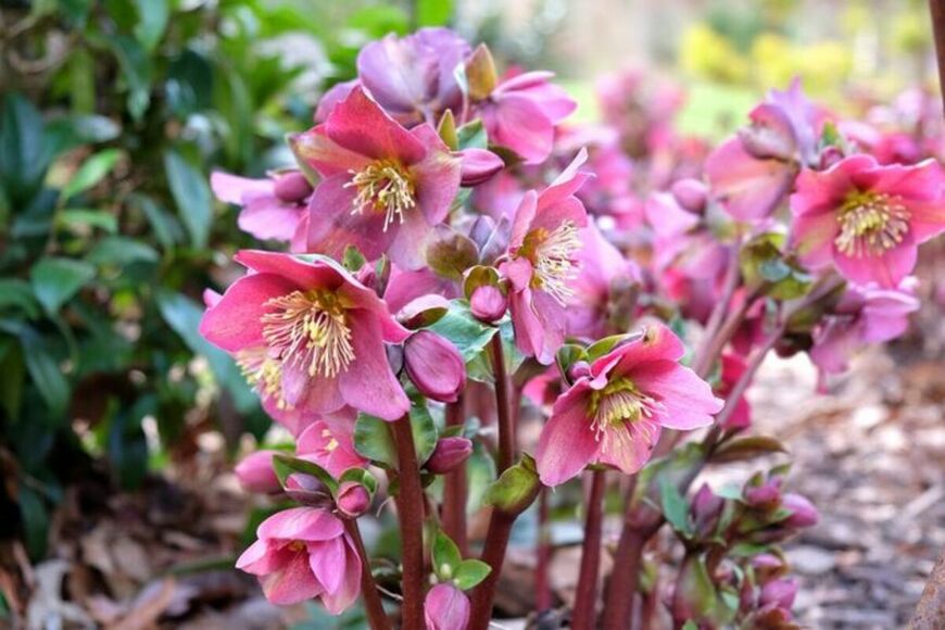 Alex Manders/shutterstock.com