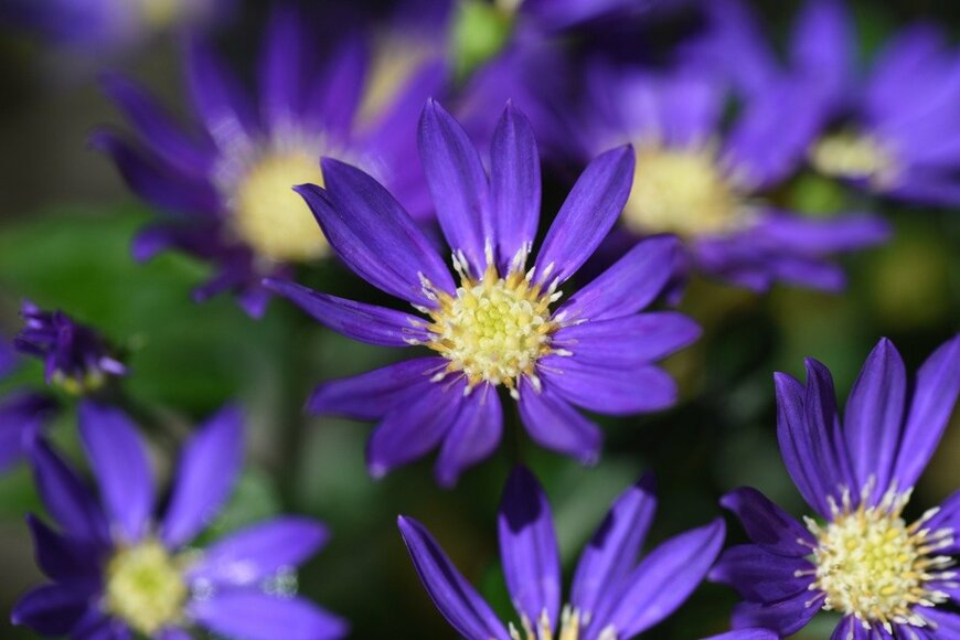 undefined undefined/istockphoto.com