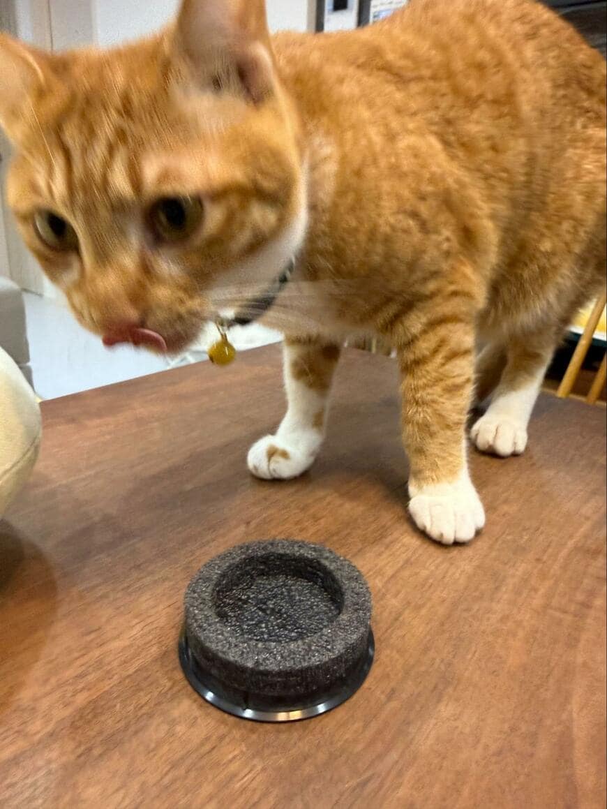 出所：@omochi_nam01