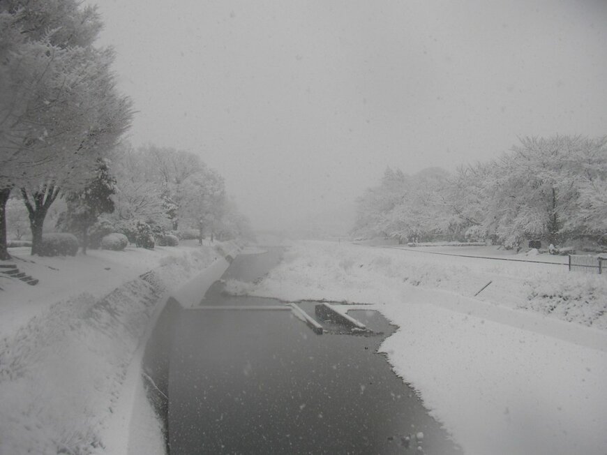 Yakou Shindai/shutterstock.com