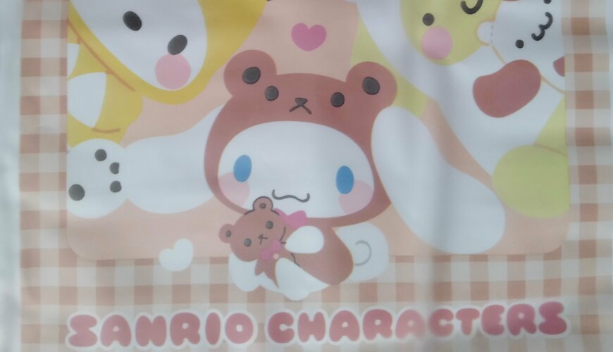 筆者撮影（ダイソー、ミニポリ巾着 2P）