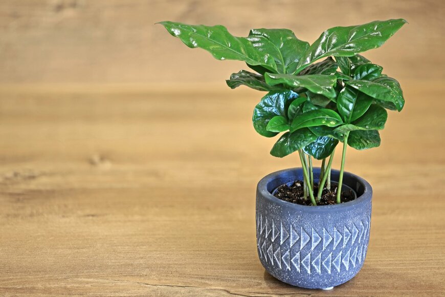 MakroBetz/shutterstock.com