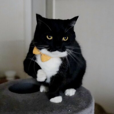 出所：@unicouniuni3