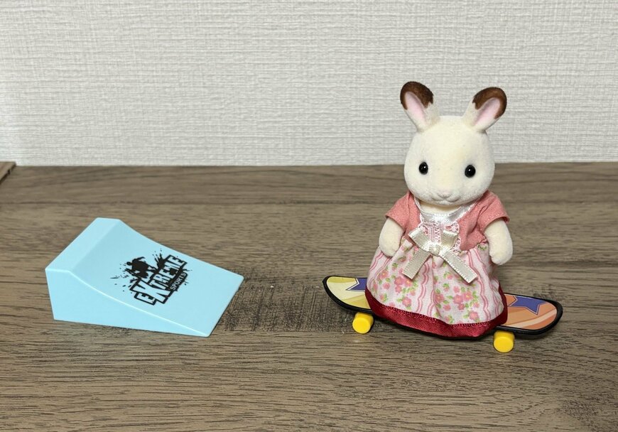 筆者撮影（ダイソー、スケートボード）