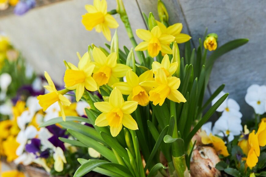 Liudmyla Liudmyla/istockphoto.com