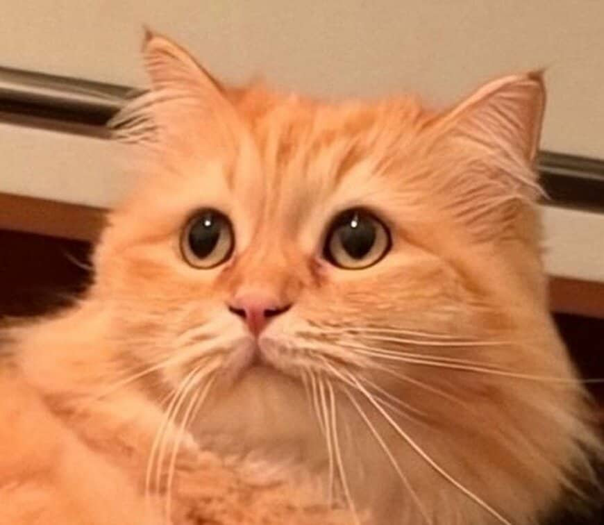 エマちゃんの表情をクローズアップ