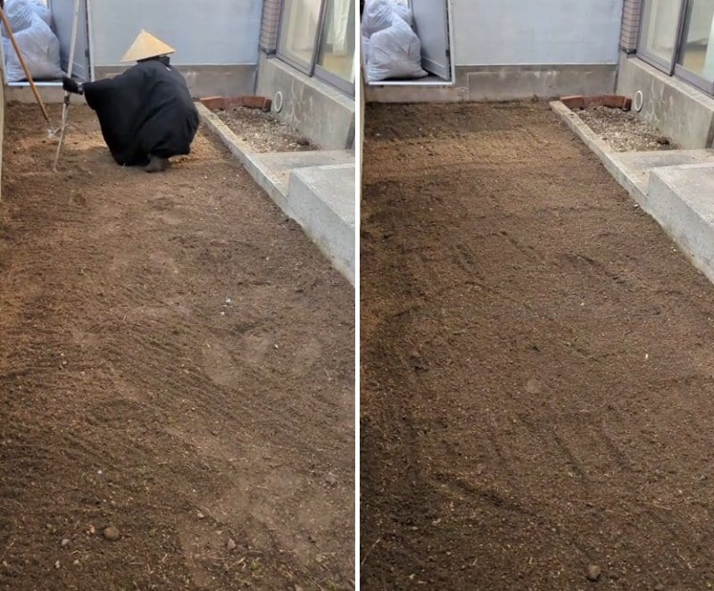 投稿の画像