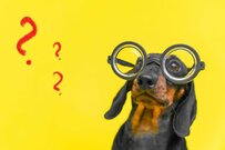 【6月支給分から】2024年度「厚生年金＆国民年金」標準的な夫婦世帯の月額はいくらになる？