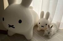 【そっくり】ブルーナボンボンの隣にいたのは、本物のウサギ…！見分けつく？あまりの可愛らしさにツイッター大盛りあがり