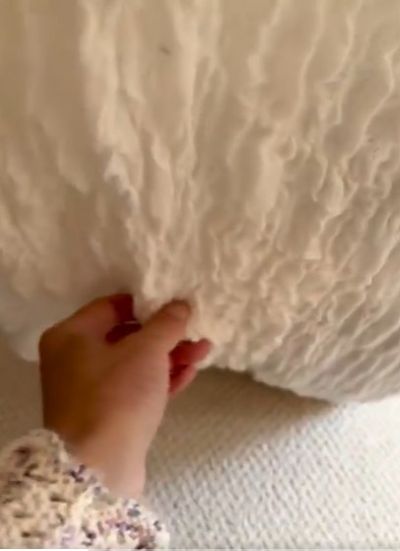 シーツから猫ちゃんの手らしきシルエットが……？