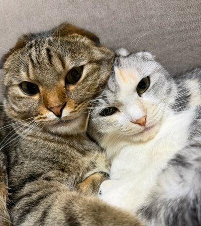 投稿の画像