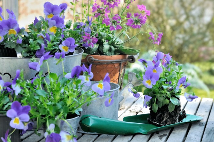 sanddebeautheil/istockphoto.com