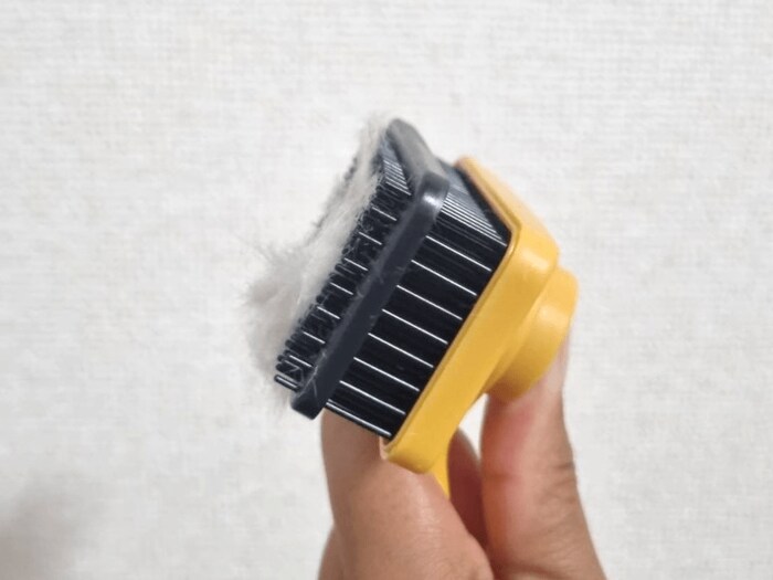 先端まで毛が浮いてくるのでブラシの根元はきれいな状態