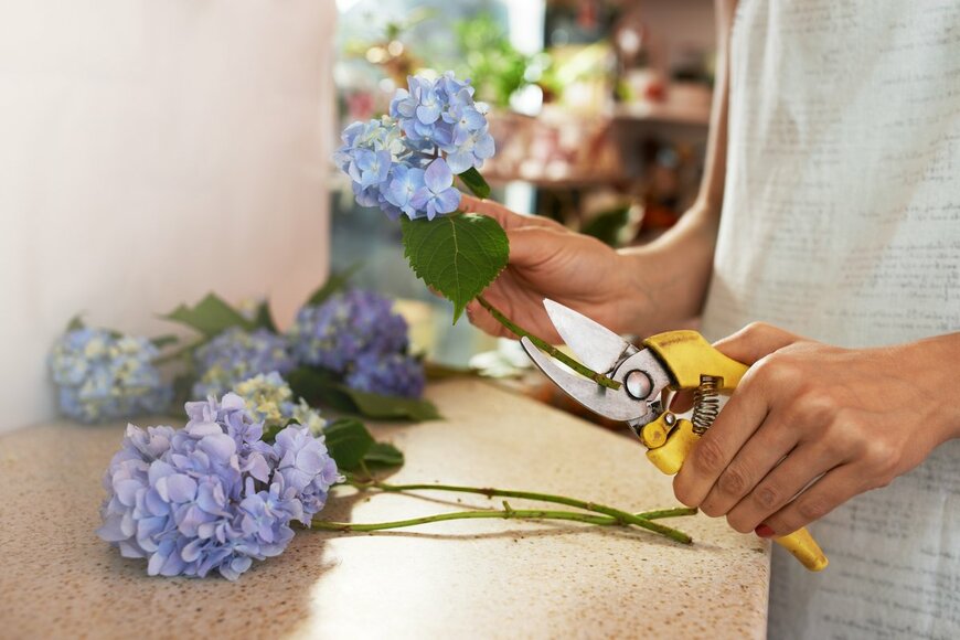 Dmytro Vietrov/Shutterstock.com