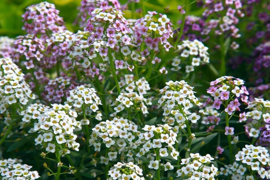 TatianaMironenko/istockphoto.com