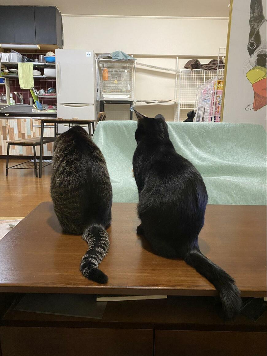 出所：@00shitemita