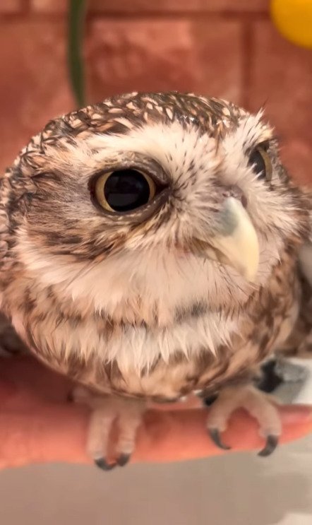 出所：@cr8673.hiro