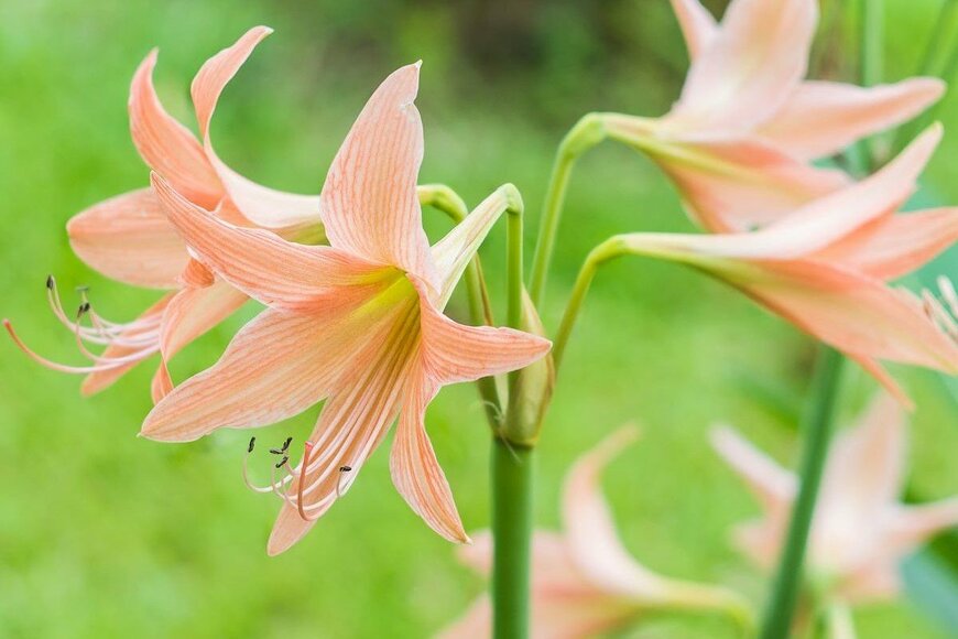 hadkhanong_Thailand/istockphoto.com